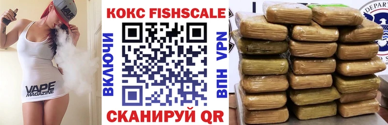 дарнет шоп  Кисловодск  COCAIN Fish Scale 