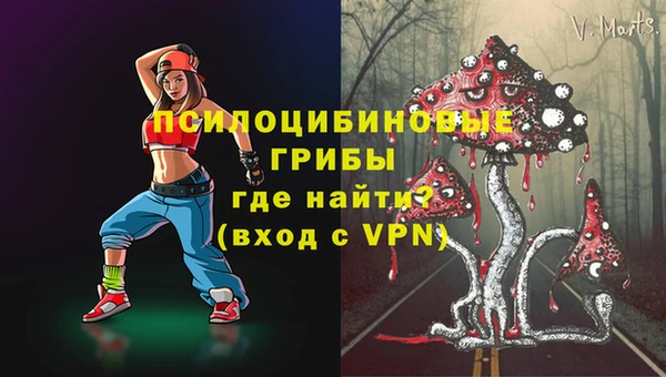 spice Горнозаводск