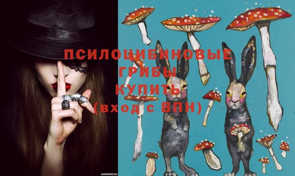 mdpv Горно-Алтайск