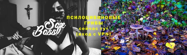 spice Горнозаводск